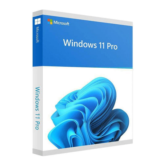 Windows 11 Pro Bit Lifetime License Key Email delivery